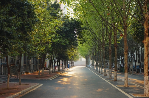 beat365英国官网网站2025年《职业适应性测试》考试大纲及样题