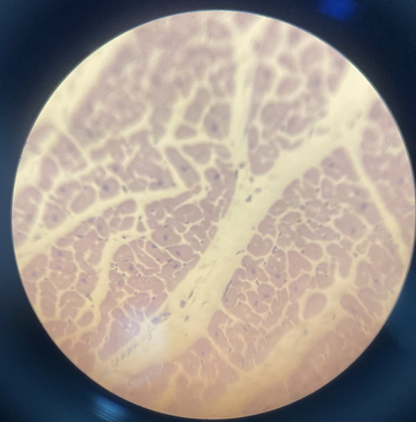 1607132778699278.png 6CFCB77246D4713AF5BE17D234E8218B.png