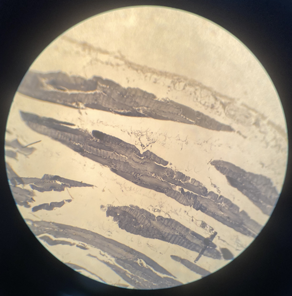 1607132788230544.png 6F413D9031704E6A4F98C4285D5C82FB.png