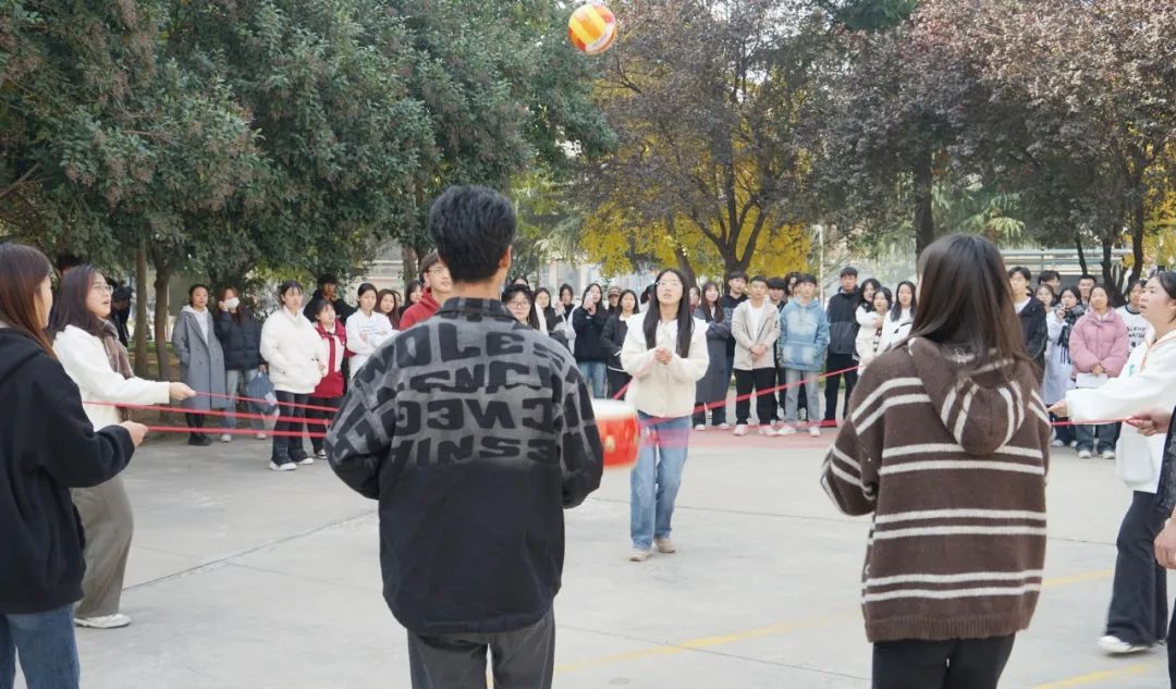 1701437966424158.jpg 1701437856399068.jpg