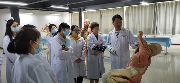 1724663535857818.jpg 0927集体备课4_副本.jpg