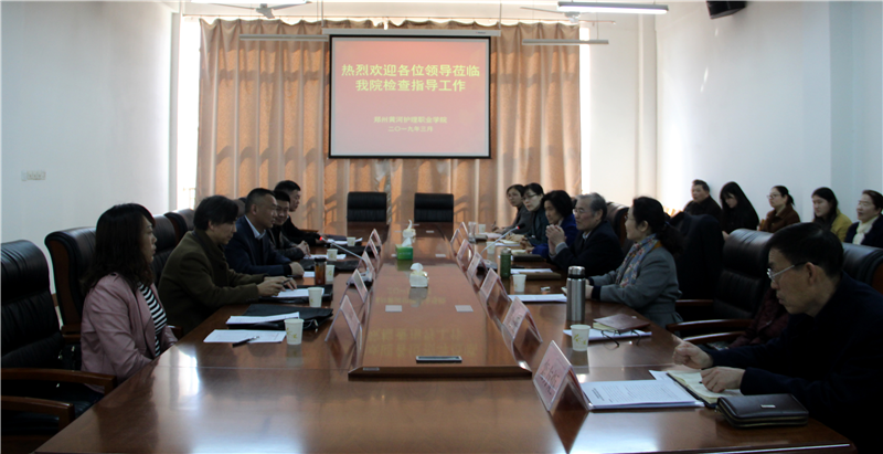 郑州市教育局年检专家组莅临我院检查指导工作